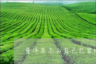 普洱茶怎么自己包装纸/2023092880727