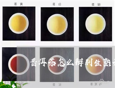 普洱茶怎么辨别生熟茶/2023100768360