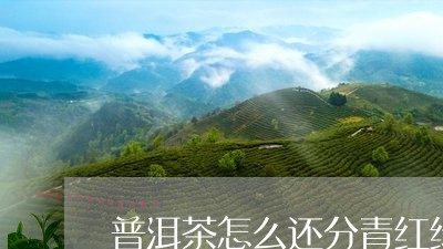 普洱茶怎么还分青红绿/2023080105057