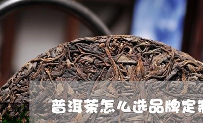 普洱茶怎么选品牌定制/2023100689270