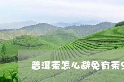 普洱茶怎么避免有茶虫/2023120695948