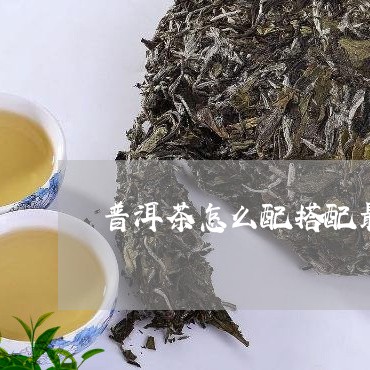 普洱茶怎么配搭配最好喝/2023121682695