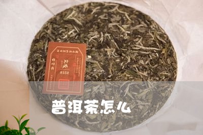 普洱茶怎么釆/2023042772582