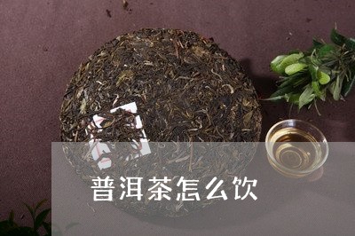 普洱茶怎么饮/2023042642859