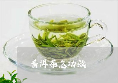 普洱茶怎功效/2023042686793