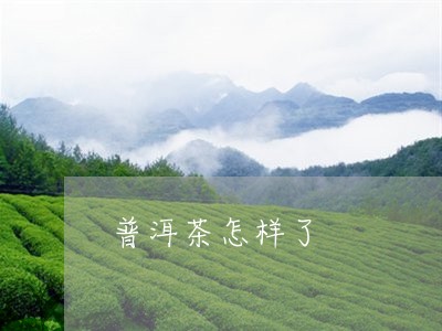 普洱茶怎样了/2023042837152