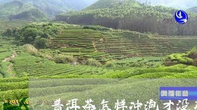 普洱茶怎样冲泡才没有土味呢/2023121791614