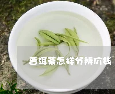 普洱茶怎样分辨价钱/2023071074814