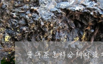 普洱茶怎样分辨坏没坏茶/2023121783713