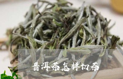 普洱茶怎样切茶/2023083029582