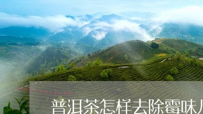 普洱茶怎样去除霉味儿/2023100777591