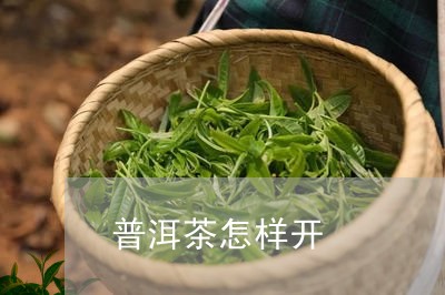 普洱茶怎样开/2023042844788