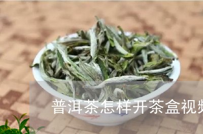 普洱茶怎样开茶盒视频/2023120659281