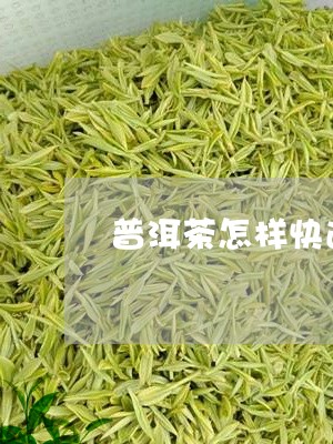 普洱茶怎样快速变旧的茶饼/2023083012594