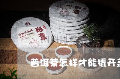 普洱茶怎样才能撬开盖子/2023121773704