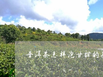 普洱茶怎样泡甘甜的茶好喝/2023110486359