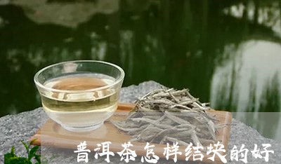 普洱茶怎样结块的好/2023121776250