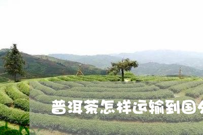 普洱茶怎样运输到国外/2023080153936