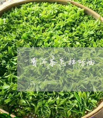 普洱茶怎样防油/2023102662794