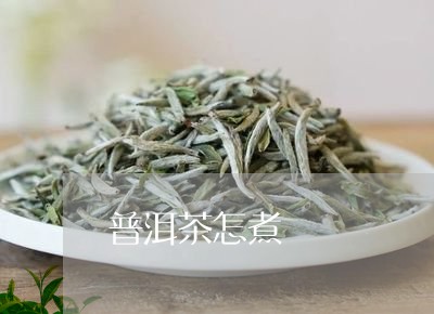 普洱茶怎煮/2023090673626