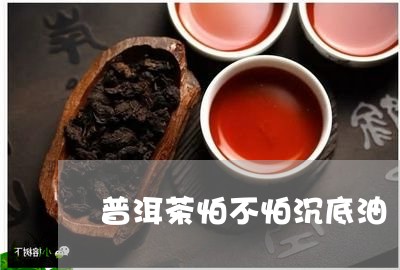 普洱茶怕不怕沉底油/2023083028514