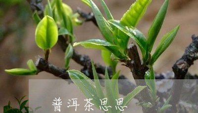 普洱茶思思/2023102524370