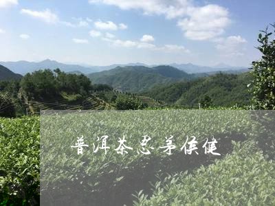 普洱茶思茅侯健/2023120324949