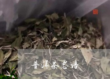 普洱茶思语/2023102519615