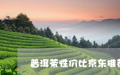 普洱茶性价比京东推荐/2023062400704