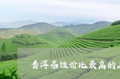 普洱茶性价比最高的品牌是哪一个/2023110604148