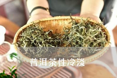 普洱茶性冷淡/2023042678807