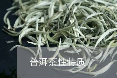 普洱茶性特质/2023042840217