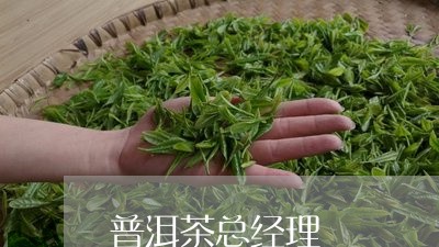 普洱茶总经理/2023042673410