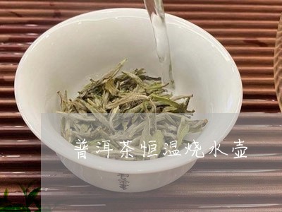 普洱茶恒温烧水壶/2023112675037