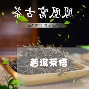 普洱茶悟/2023110865925