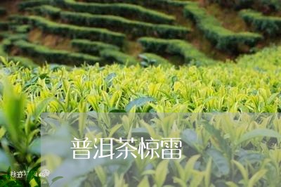 普洱茶惊雷/2023090641153