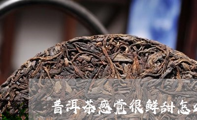 普洱茶感觉很鲜甜怎么办/2023120784957