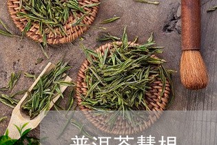 普洱茶慧根/2023081524928