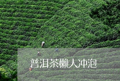 普洱茶懒人冲泡/2023112663826