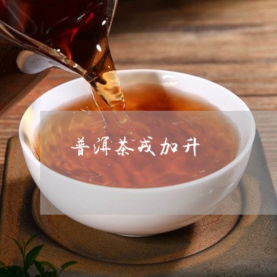 普洱茶戎加升/2023042948159