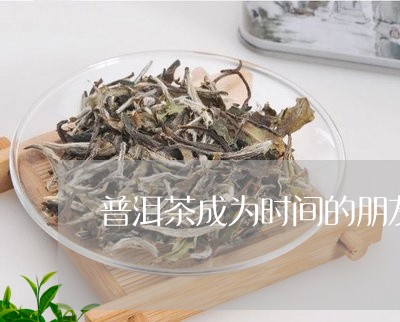 普洱茶成为时间的朋友/2023062349305