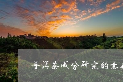 普洱茶成分研究的意义/2023062767271