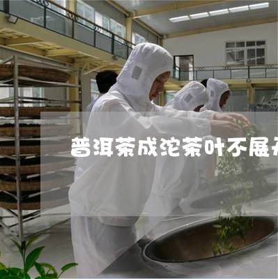 普洱茶成沱茶叶不展开/2023092931714