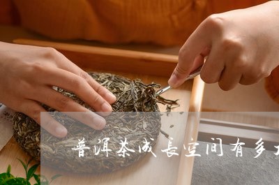 普洱茶成长空间有多大/2023120627270