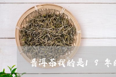 普洱茶我的是19年的/2023092668514