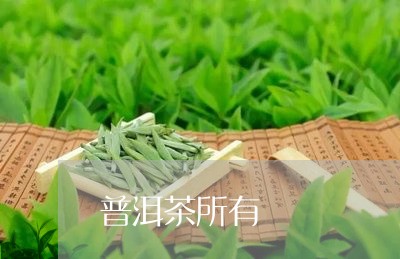 普洱茶所有/2023090659471