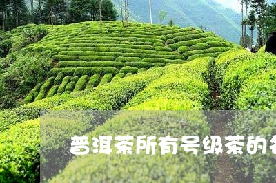 普洱茶所有号级茶的名字/2023120782720