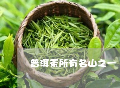 普洱茶所有名山之一/2023091549393