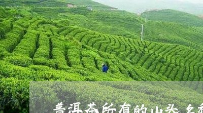 普洱茶所有的山头名称图文/2023082559684