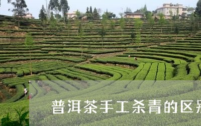 普洱茶手工杀青的区别/2023100832826